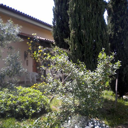 Bed and Breakfast Le Tre Querce Fiano Romano Exterior foto